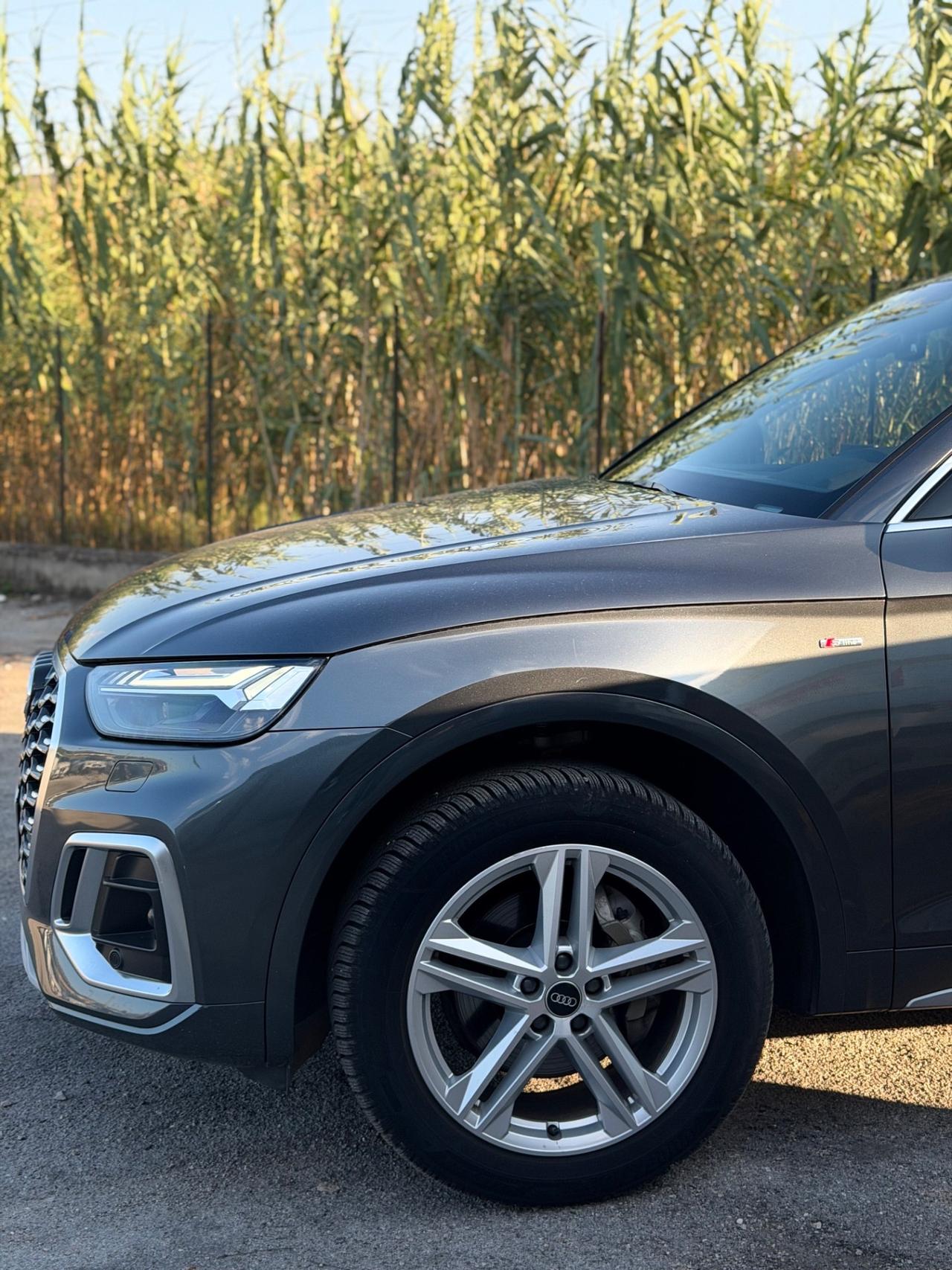 Audi Q5 40 TDI 204 CV quattro S tronic line plus