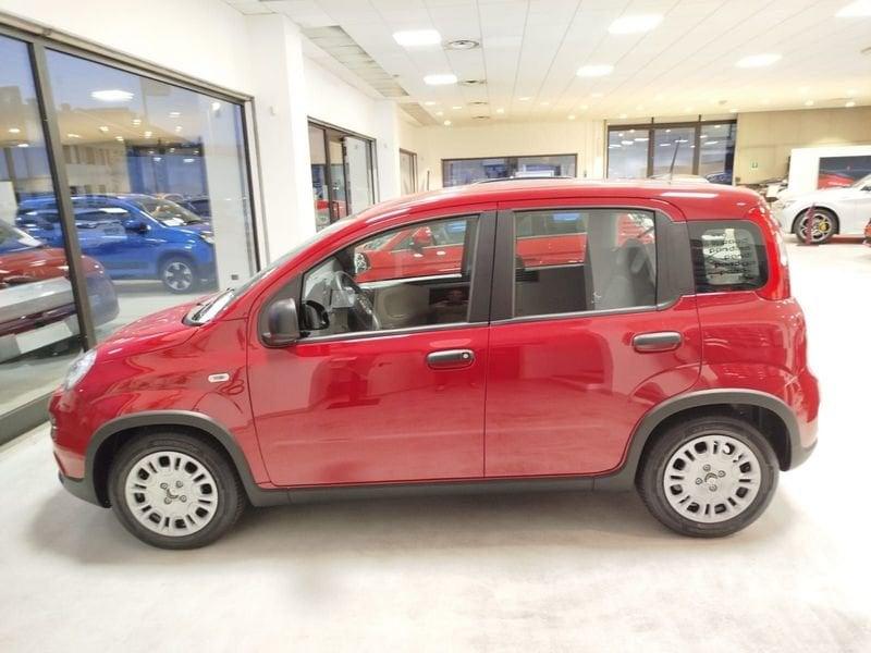 FIAT Panda 1.0 FireFly S&S Hybrid Pandina