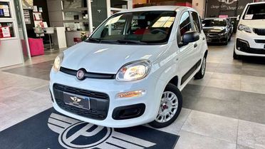 Fiat Panda 1.2 Benzina 69CV S&S Easy +Neopatentato