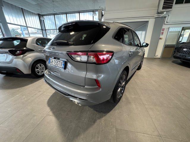 FORD Kuga 1.5 EcoBlue 120 CV 2WD ST-Line