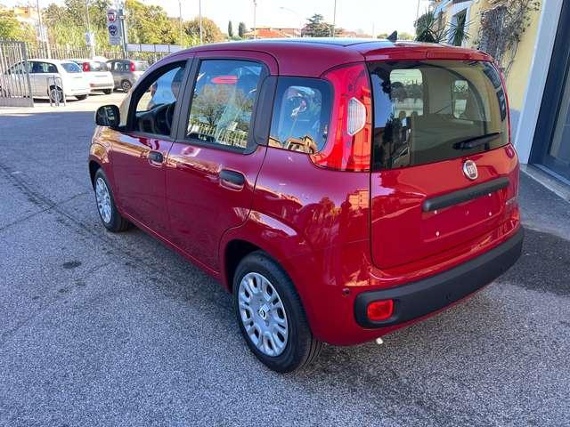 Fiat Panda Panda1.0 firefly hybrid KM 0 DIVERSI COLORI pronte