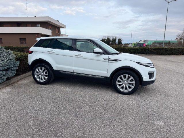 LAND ROVER Range Rover Evoque 2.0 TD4 150 CV 5P BUSINESS *TAGLIANDATO*