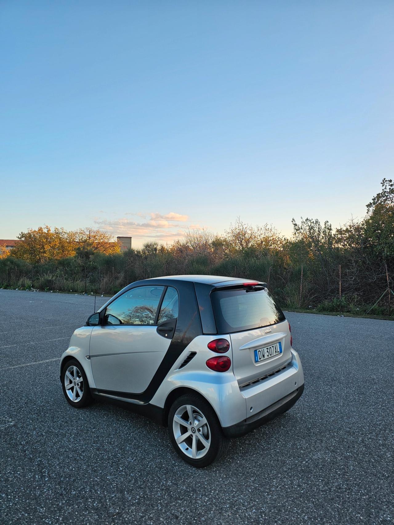 Smart ForTwo 800 diesel 45 cv palette al volante