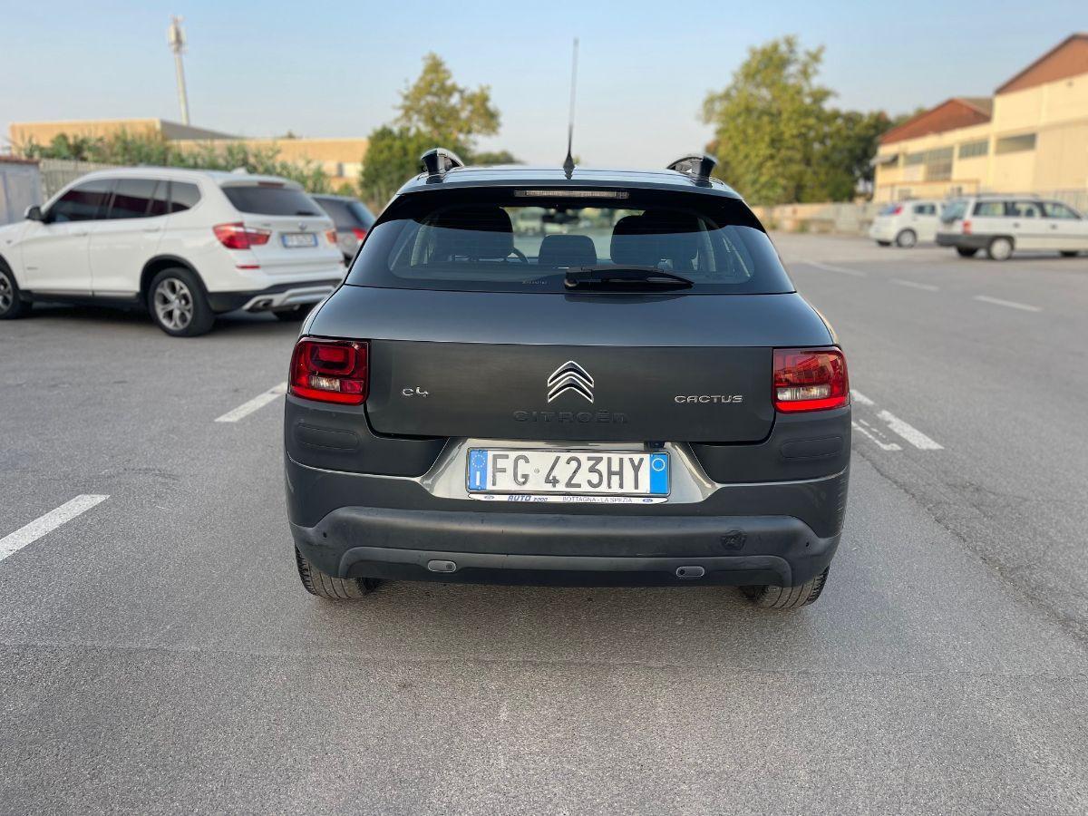 CITROEN - C4 Cactus - BlueHDi 100 Shine