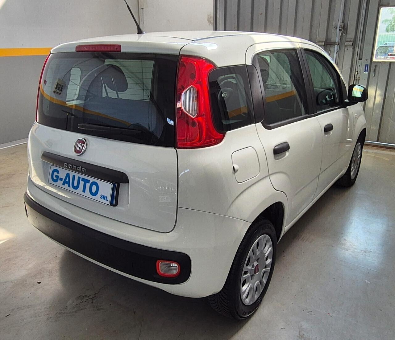 Fiat Panda 1.2 Easy 2019 Unico Proprietario