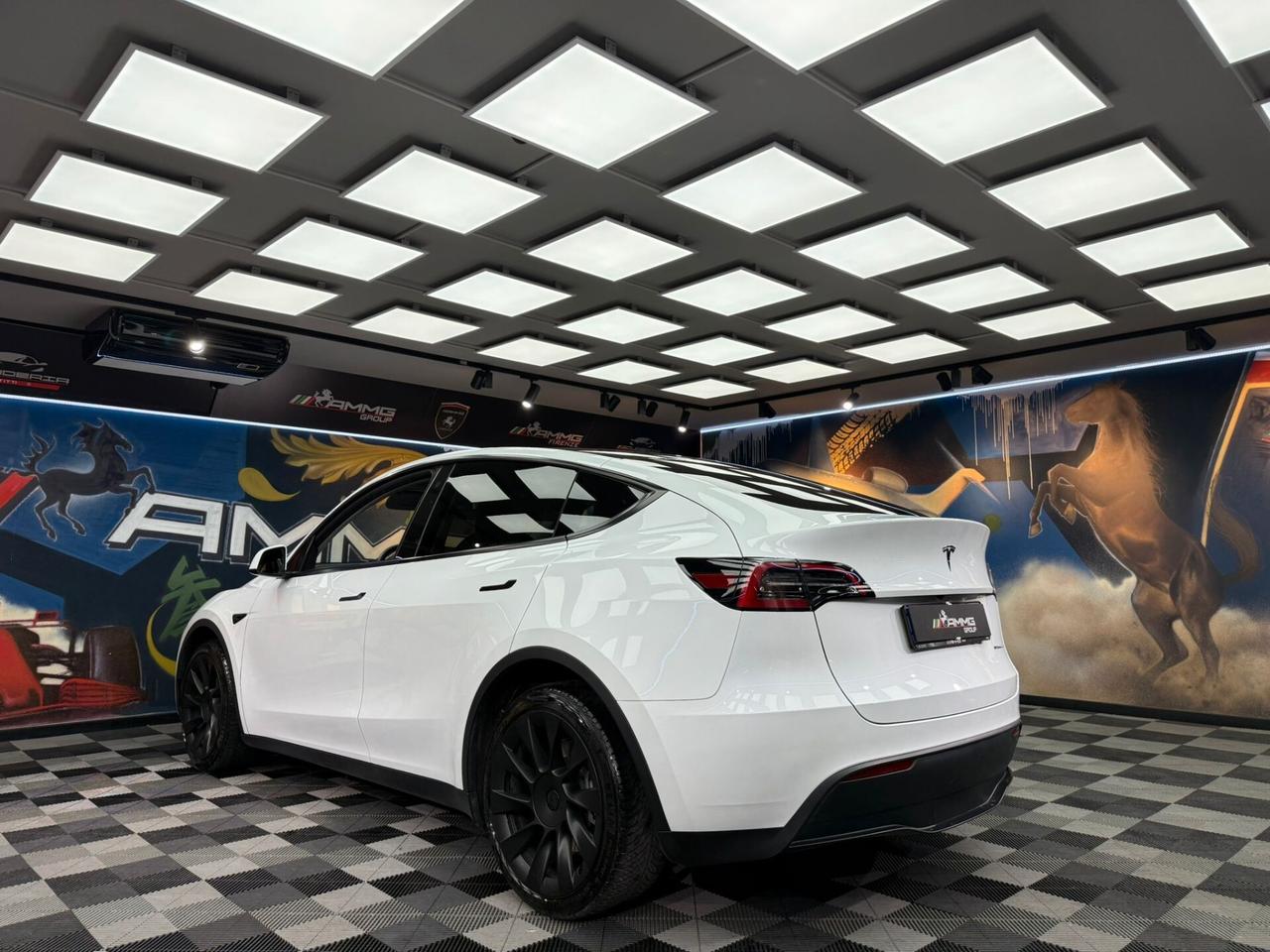 Tesla Model Y Long Range AWD (634)