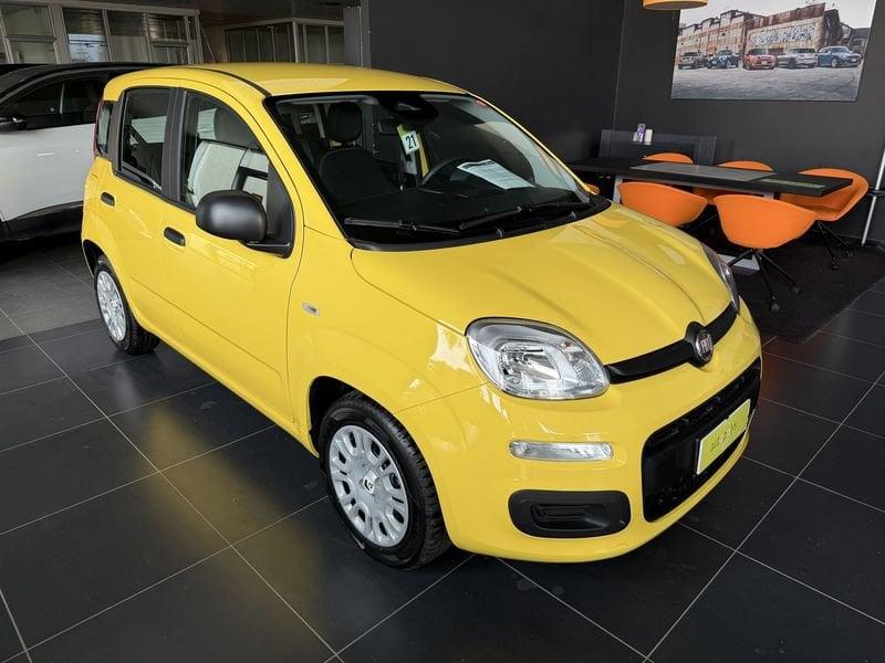 FIAT Pandina 1.0 FireFly 65cv S&S 6m Hybrid Pop