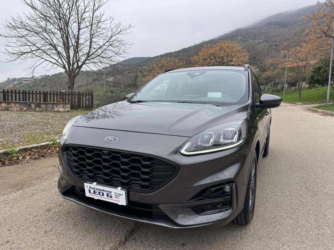 Ford Kuga 1.5 EcoBlue 120 CV aut. 2WD ST-Line