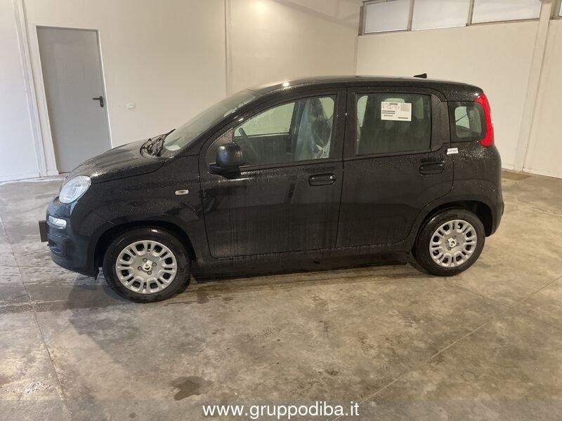 FIAT Panda 1.0 70cv Hybrid Panda