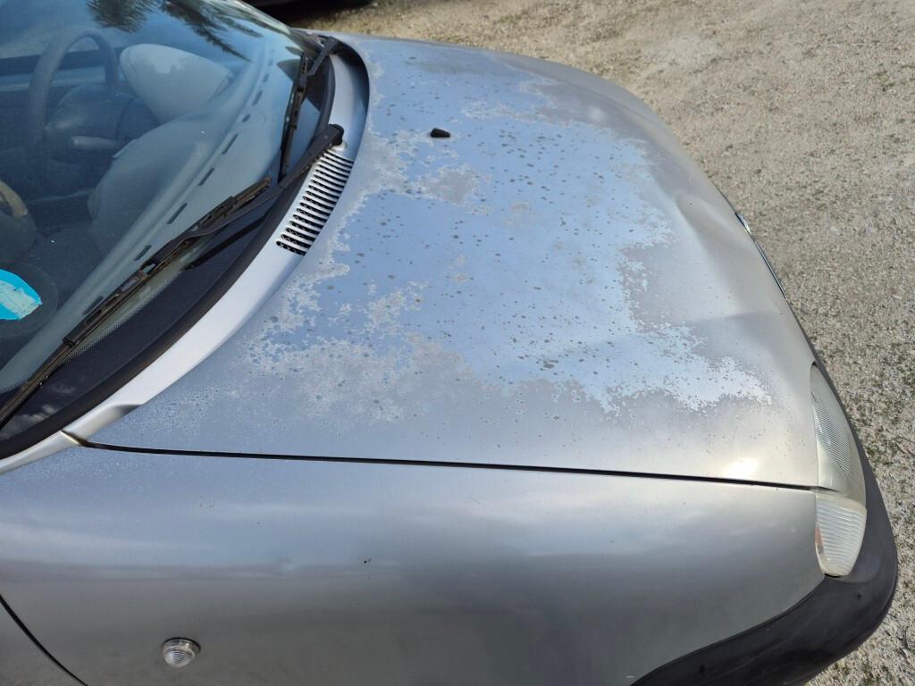 Fiat Seicento 1.1i cat CLIMATIZZATA