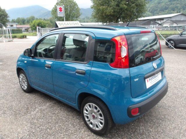 FIAT Panda 1.2 NEOPATENTATI - CINGHIA OK