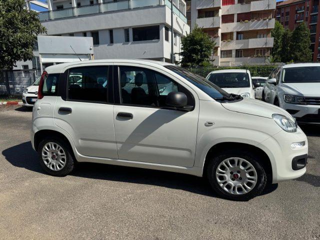 FIAT Panda 1.2 Easy (AUTOCARRO N1 4 POSTI)