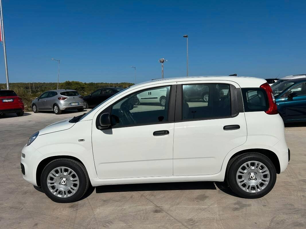 Fiat Panda 1.0 firefly hybrid s&s 70cv 5p.ti