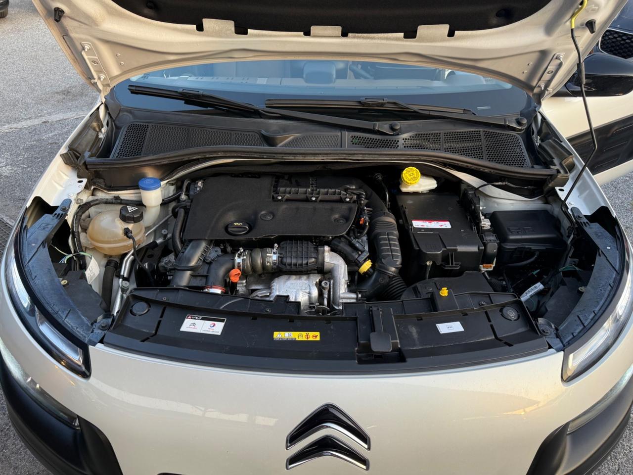 C4 Cactus hdi 100-ETG6 Shine-unipro-perfetta