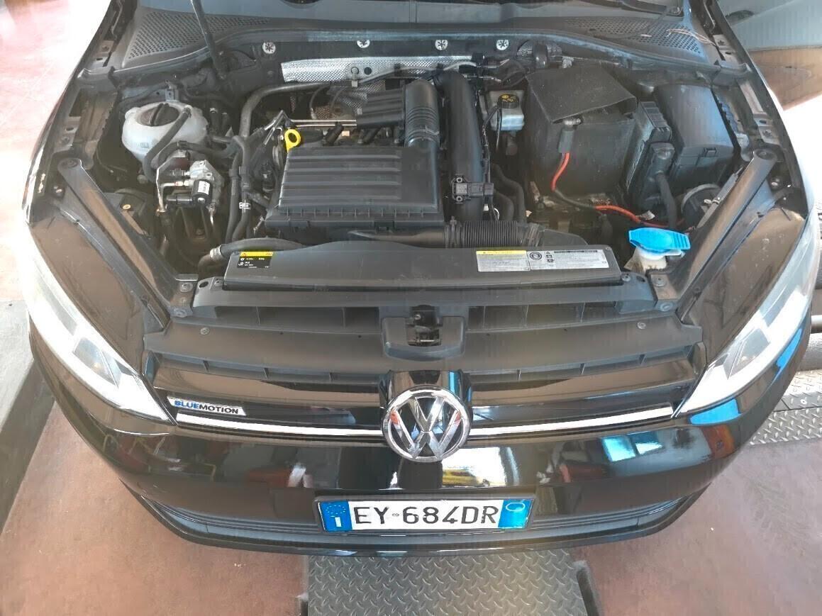 Volkswagen Golf Business 1.4 TGI 5p. Comfortline Benz/Metano