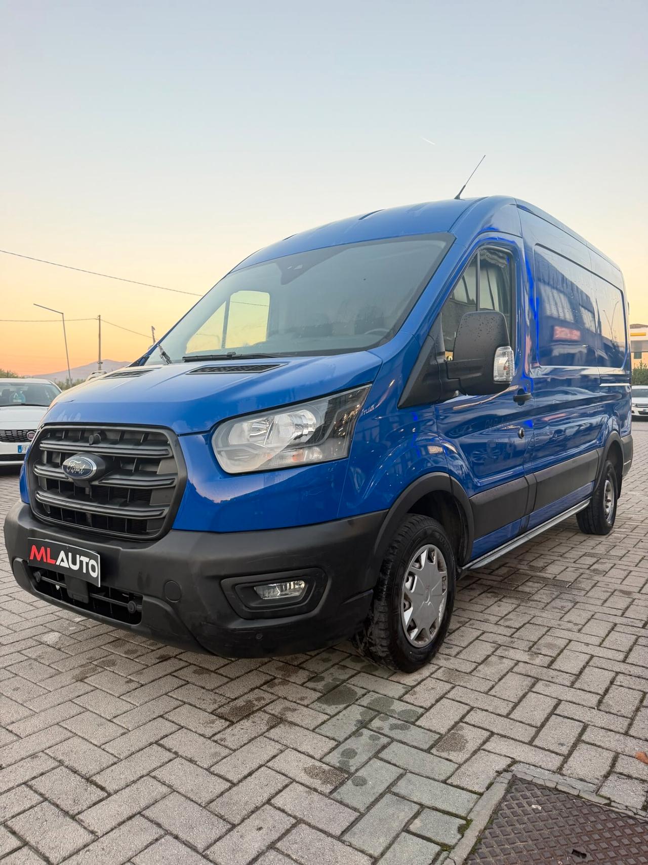 Ford Transit 290 2.0 TDCi EcoBlue PM-TM Furgone Trend