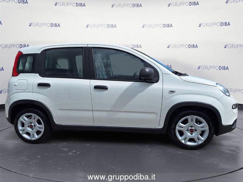 FIAT Panda 1.0 70cv Hybrid Pandina