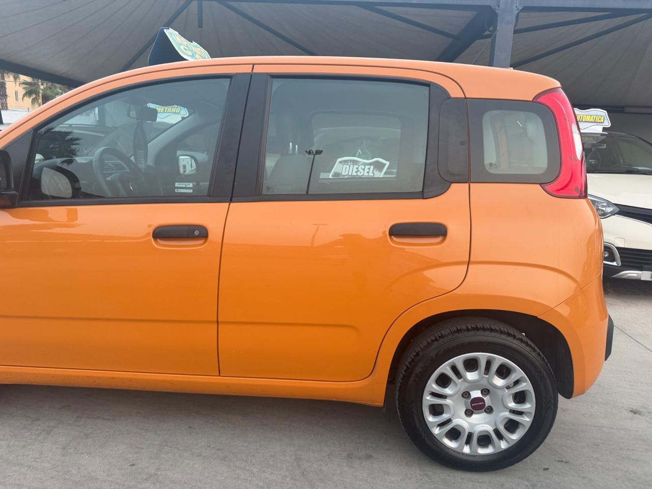 Fiat PANDA 1.2 GPL 2019 - NORD ITALIA