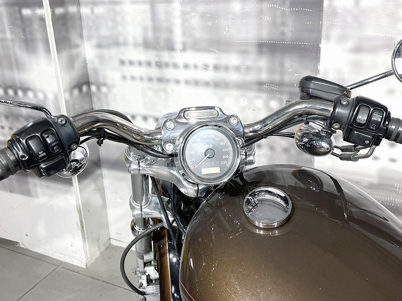 Harley Davidson XL 1200 C 110th