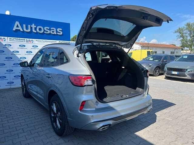 Ford Kuga 2.0 EcoBlue Hybrid 150 CV 2WD ST-Line