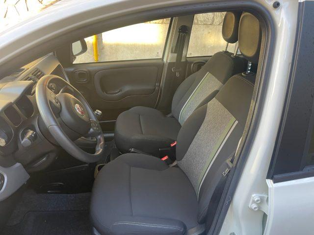 FIAT Panda 1.0 FireFly S&S Hybrid City Cross