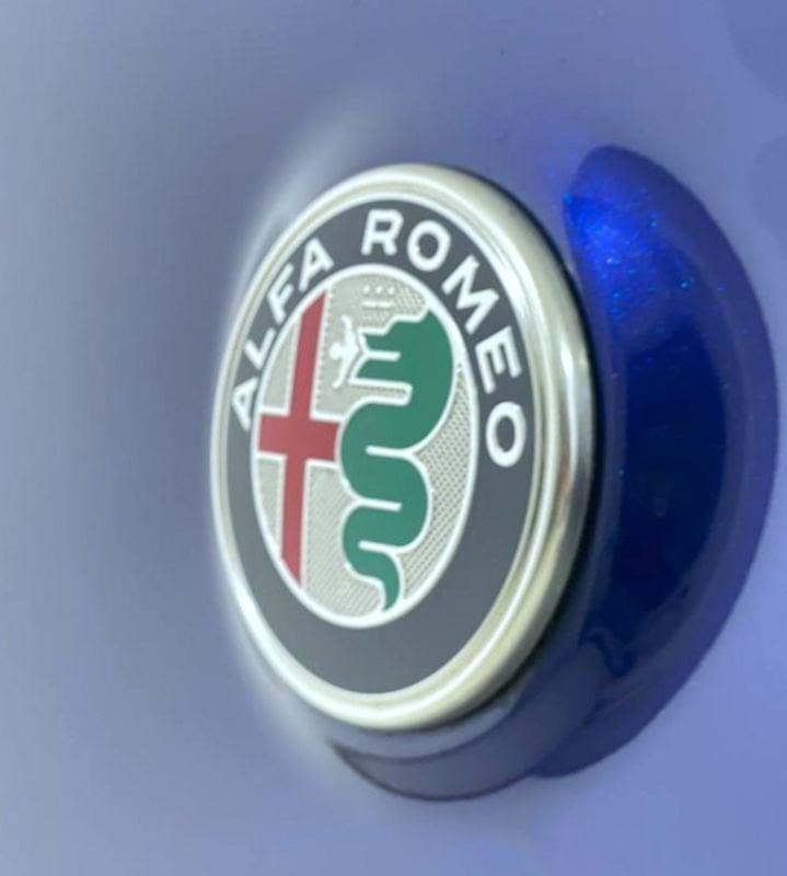 Alfa Romeo Stelvio 2.2 TD 190 CV Super Business AT8 Q4