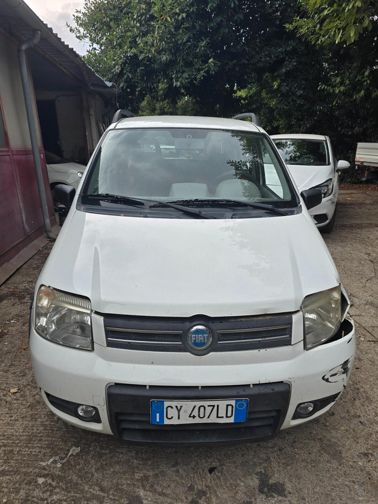 Fiat Panda 1.3 MJT 4x4 Active 5 posti
