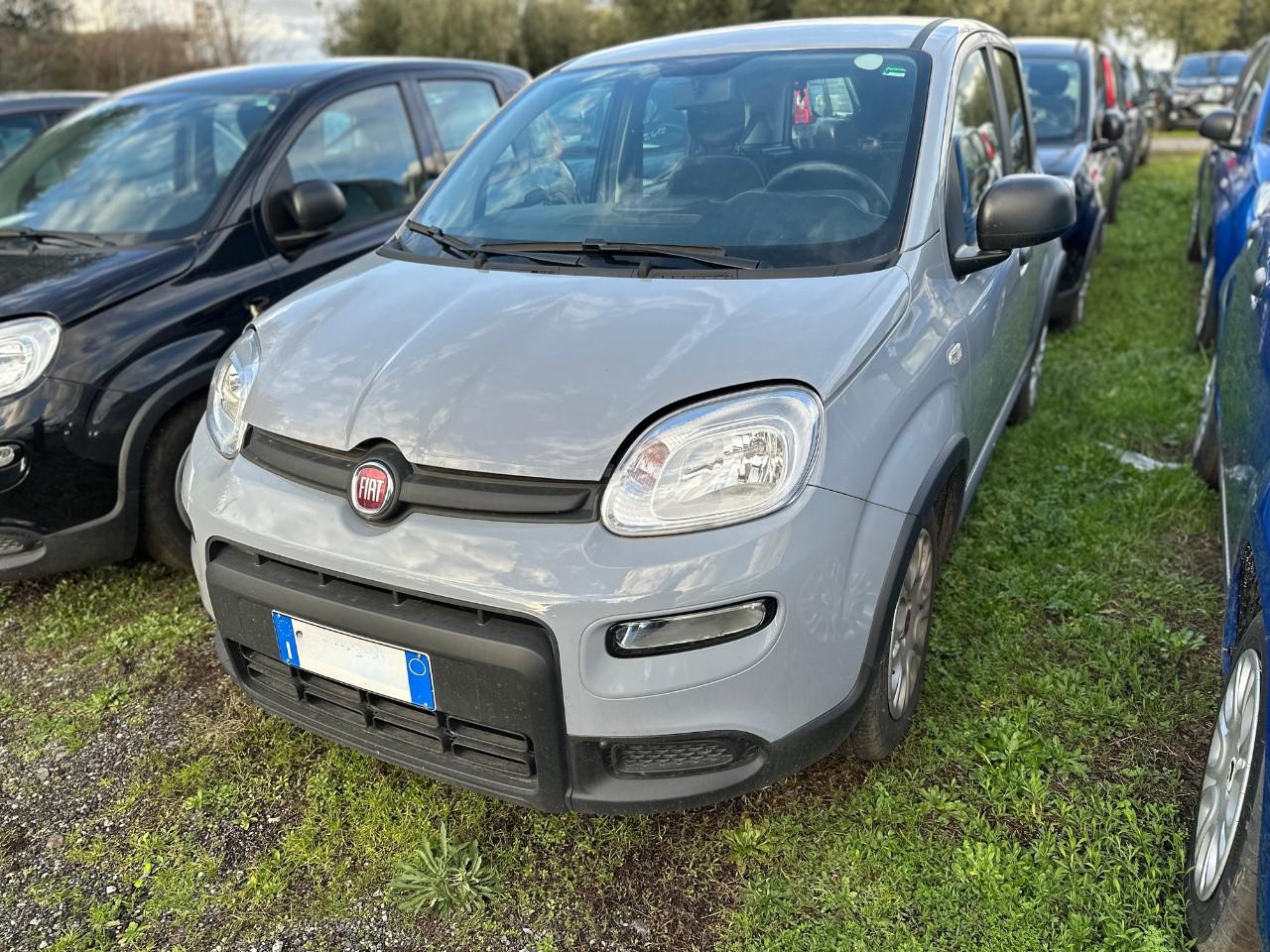 FIAT Panda III 2021 - Panda 1.0 firefly hybrid s&s 70cv 5p.ti