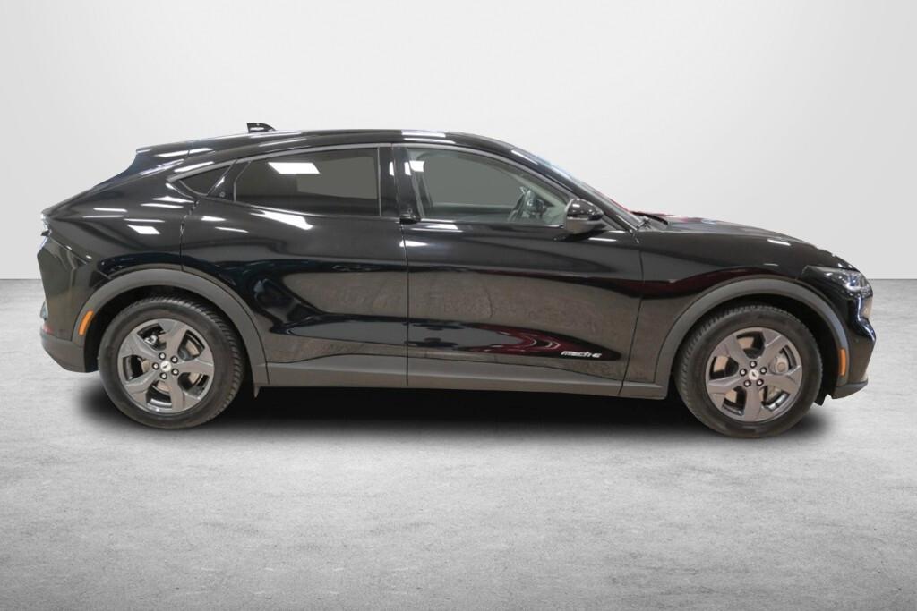 FORD MUSTANG MACH-E STANDARD RANGE 269CV ( FARI LED - PELLE - PARK ASSIST - NAVI - MIRROR - ADAPTIVE CRUISE - TELECAMERA 360 )