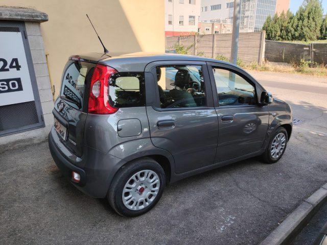 FIAT Panda 1.0 FireFly S&S Hybrid NEOPATENTATI - PREZZO REALE