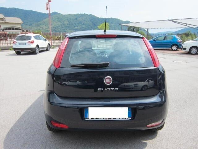 Fiat Punto 1.2 8V 5 porte Street NEOPATENTATI