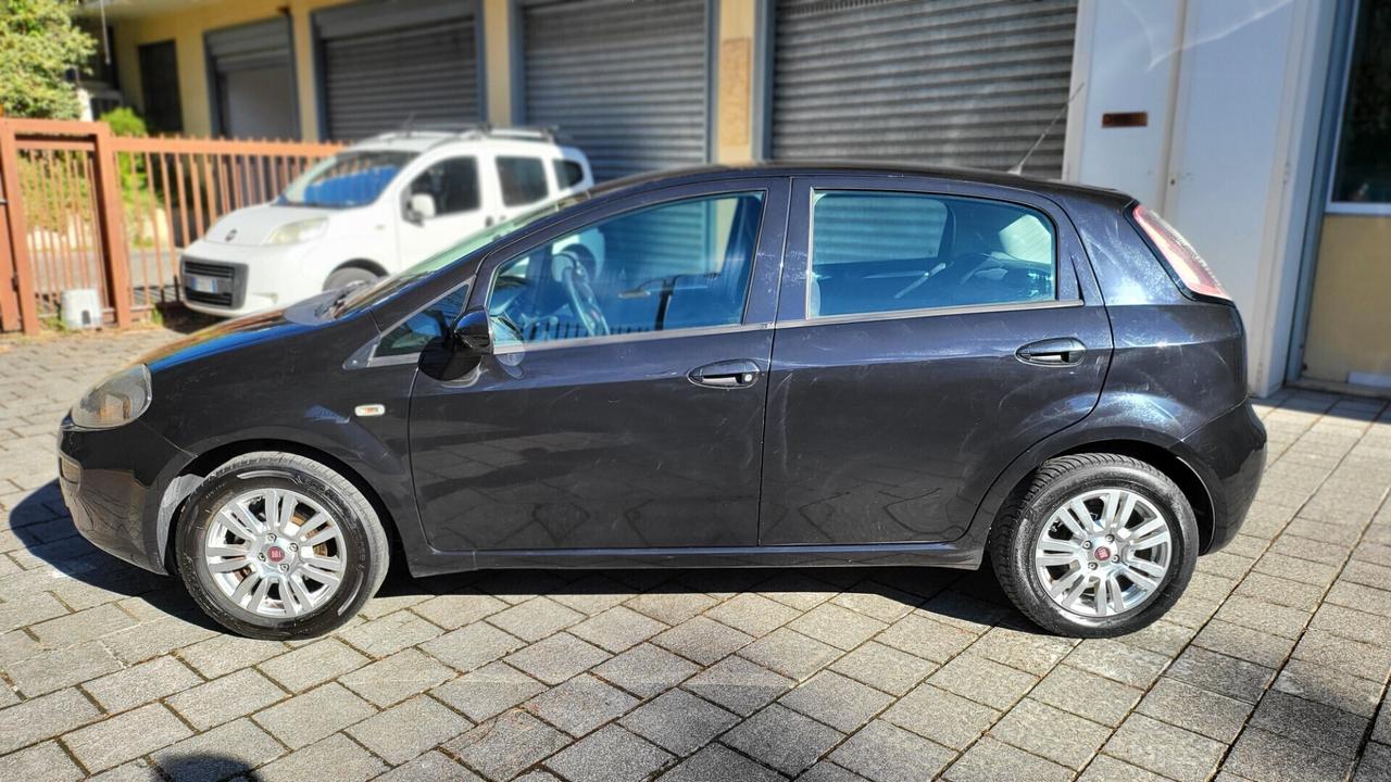 Fiat Punto 1.2 8V 5 porte Street