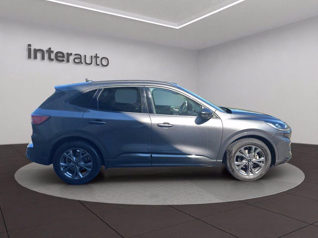 FORD Kuga 1.5 EcoBlue 120 CV 2WD ST-Line del 2022