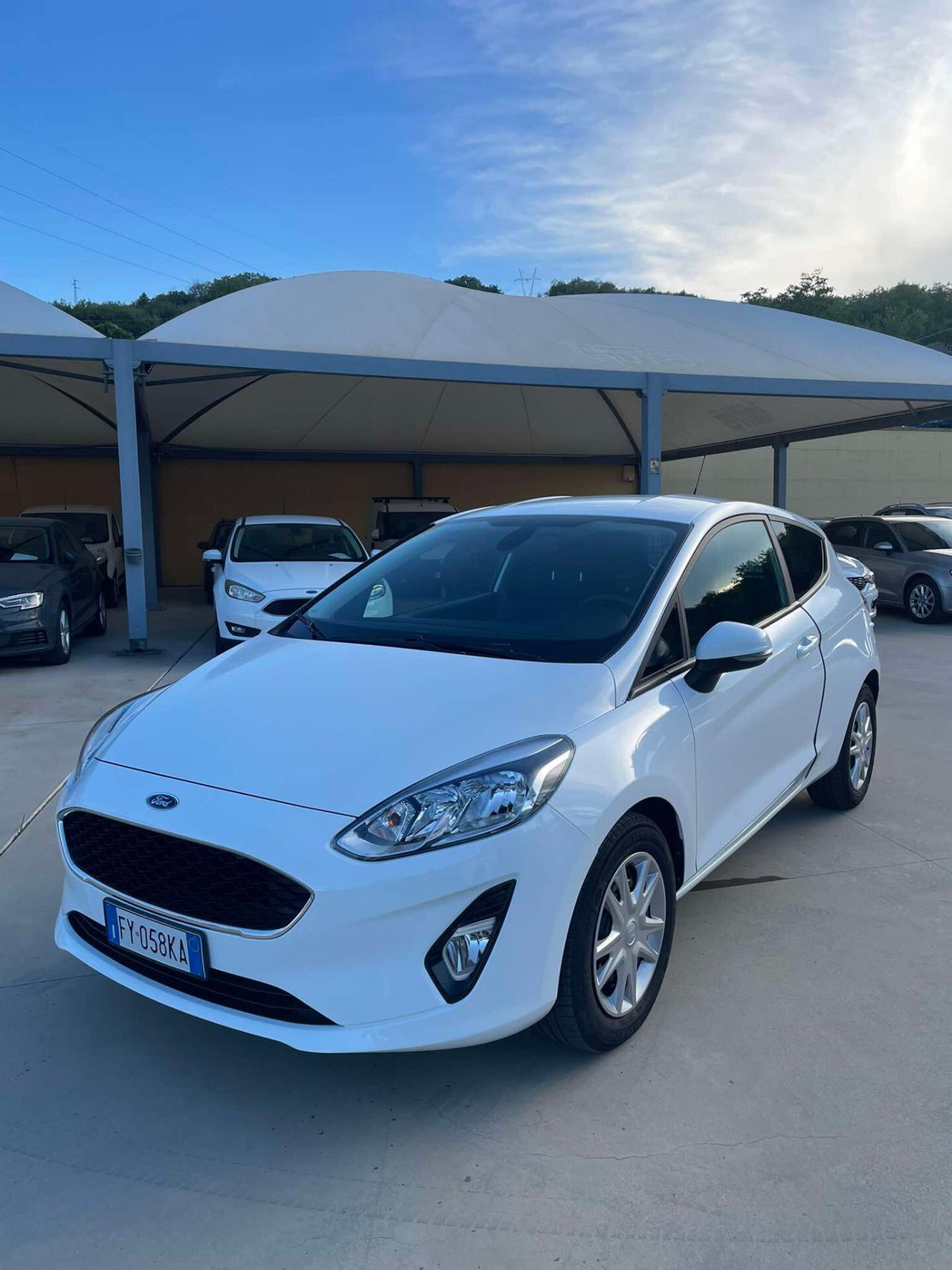 Ford Fiesta 1.5 TDCi 85 CV 3 porte Van Trend