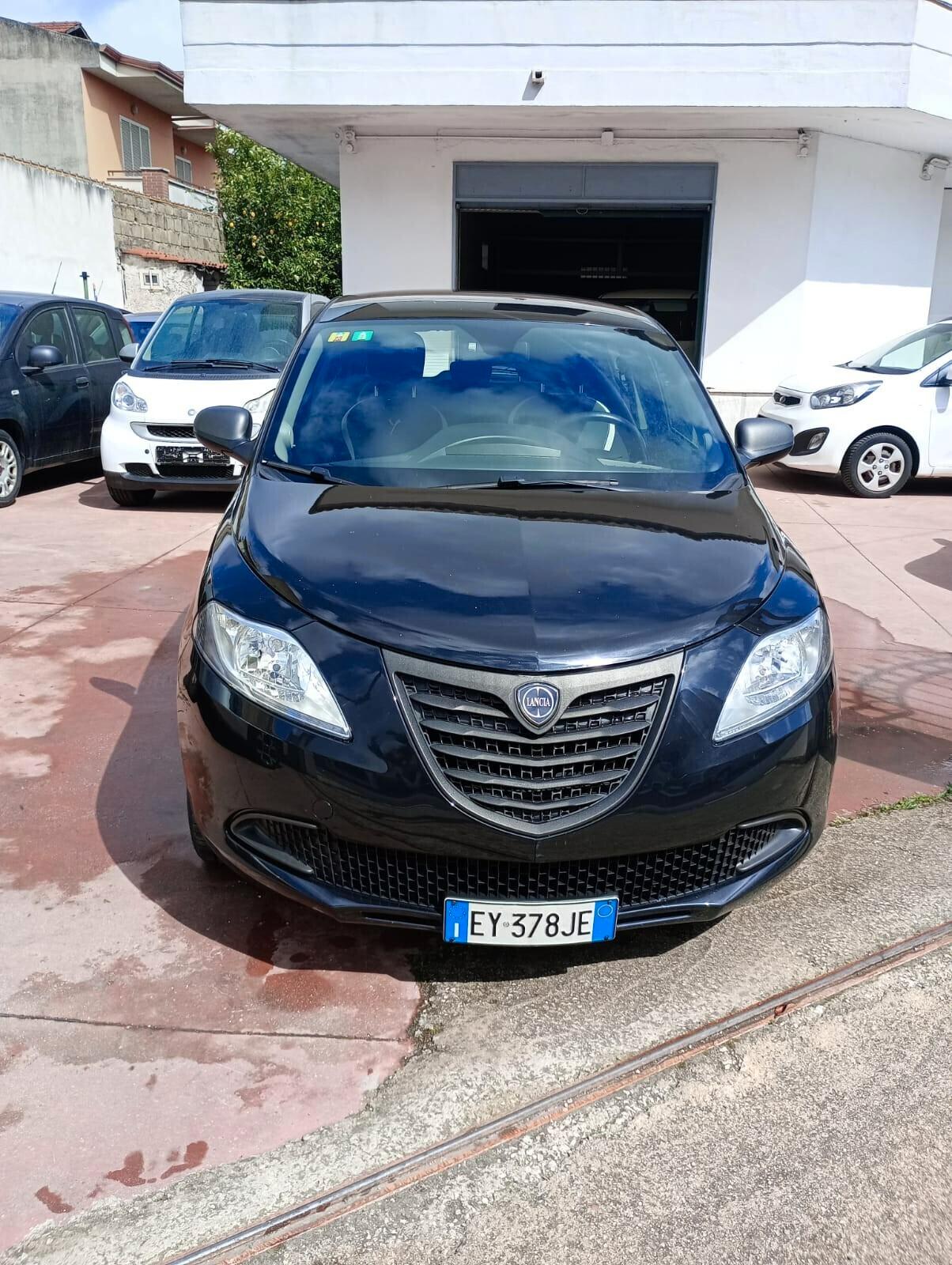 Lancia Ypsilon 1.2 69 CV 5 porte Elefantino