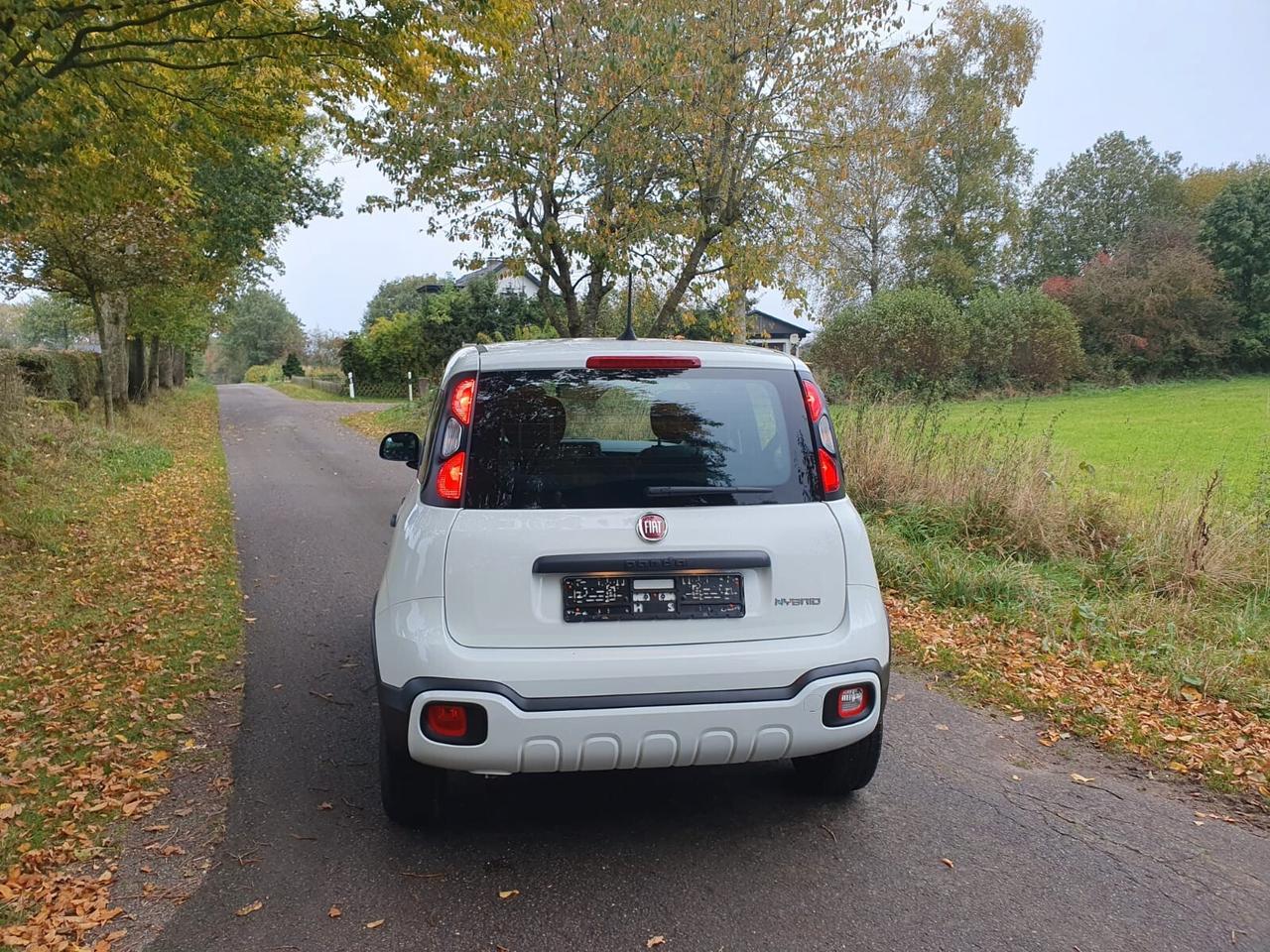 Fiat Panda 1.0 FireFly S&S Hybrid City Cross