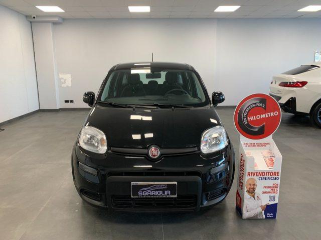 FIAT Panda 1.0 Benzina Hybrid City Life