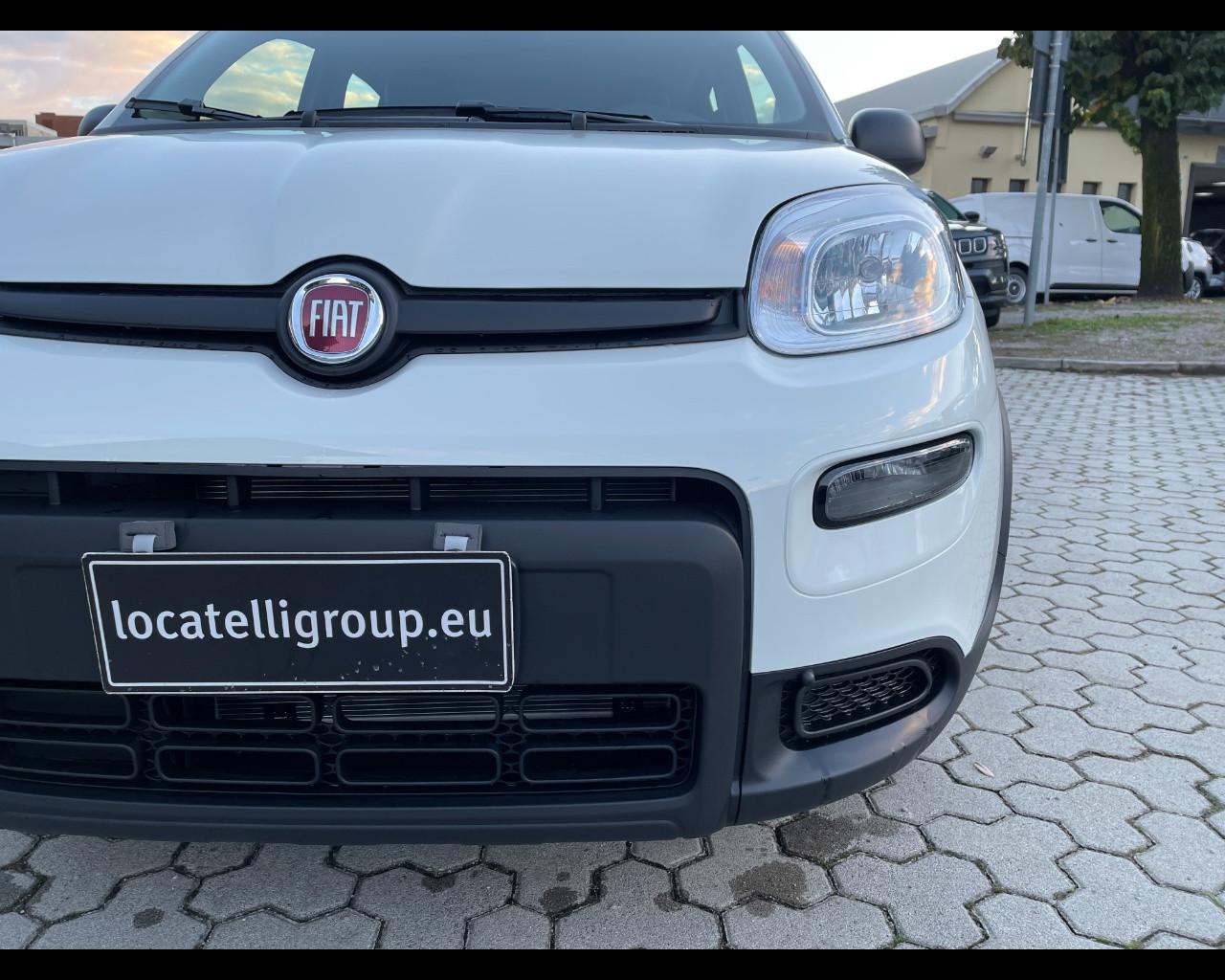 FIAT Panda III 2024 - Panda 1.0 firefly hybrid s&s 70cv