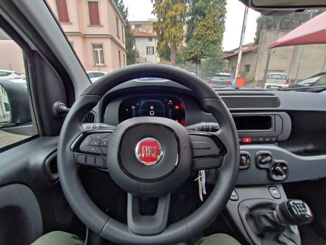 FIAT Panda 1.0 FireFly S&S Hybrid Pandina