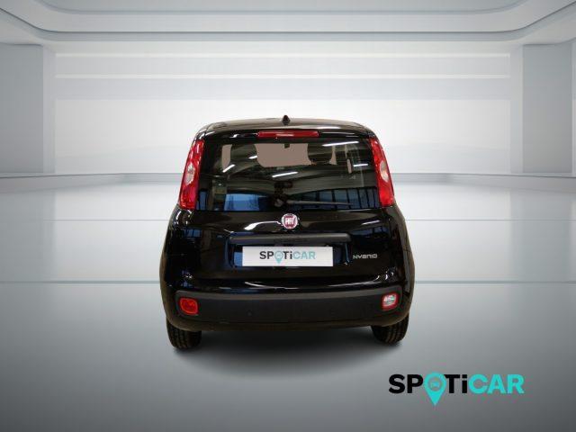 FIAT Panda 1.0 FireFly S&S Hybrid Icon