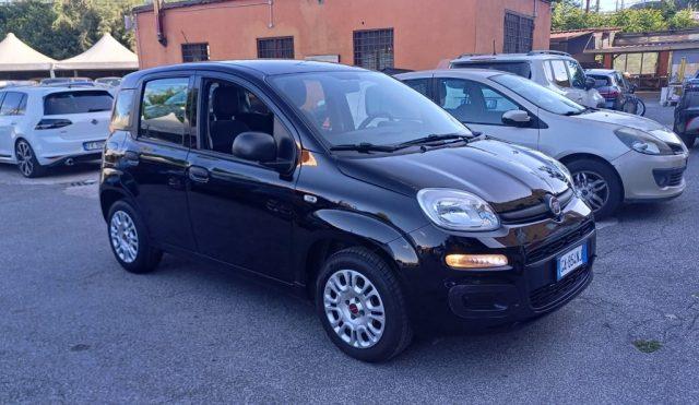 FIAT Panda 1.2 Trussardi