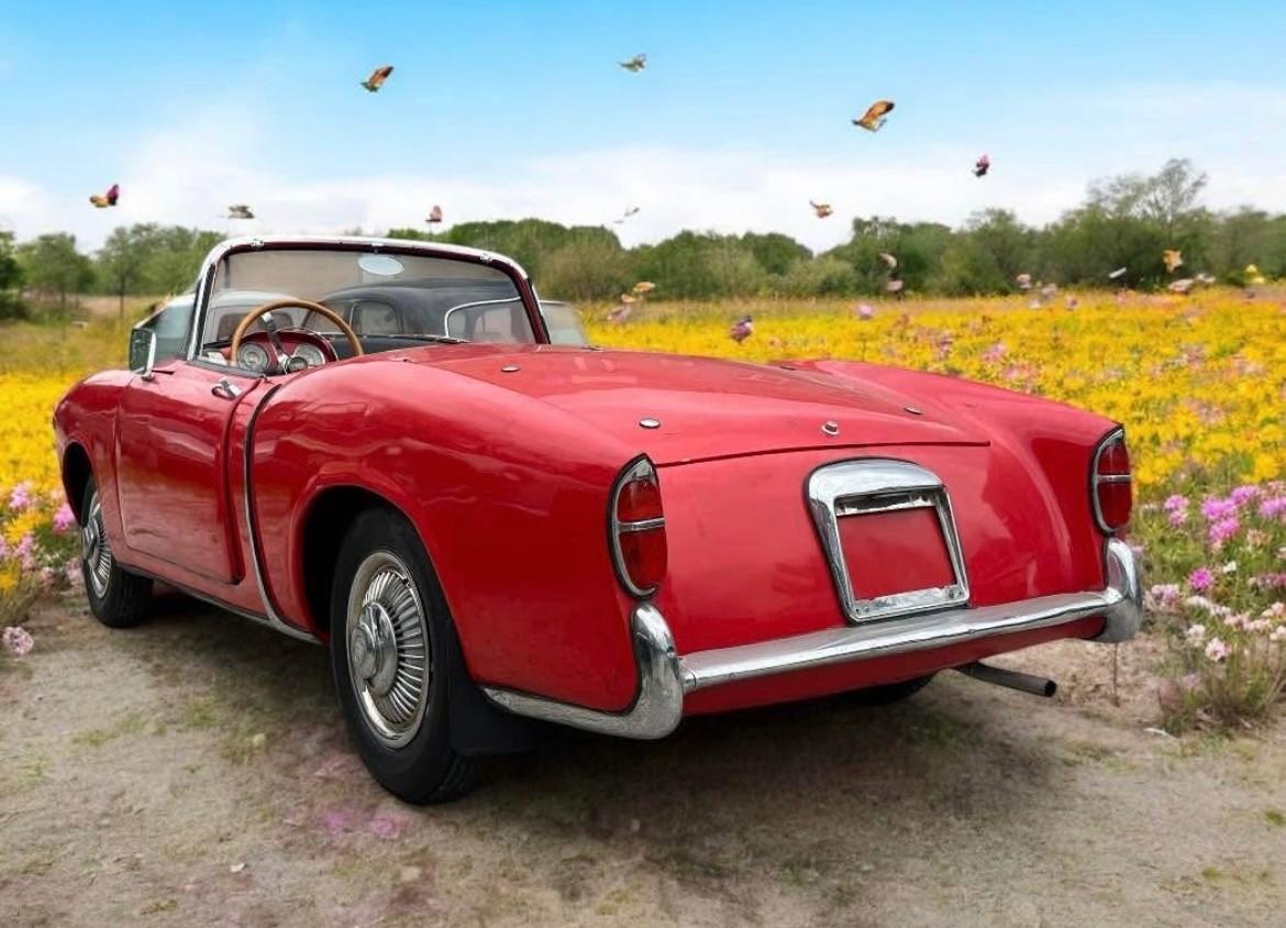 Fiat 1100 TV spider convertibile FUORISERIE Vetture speciali