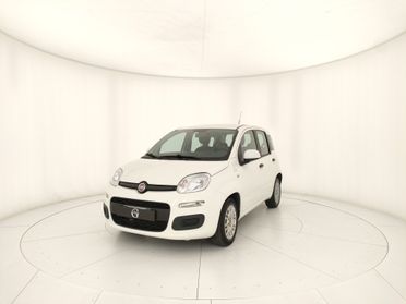 FIAT Panda III 2016 - Panda 1.2 Easy s&s 69cv my19