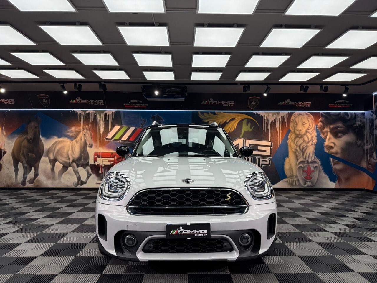 Mini Cooper 1.5 Countryman SE Hype ALL4 Automatica (314)