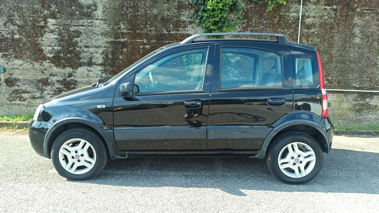 Fiat Panda 1.2 Climbing Natural Power