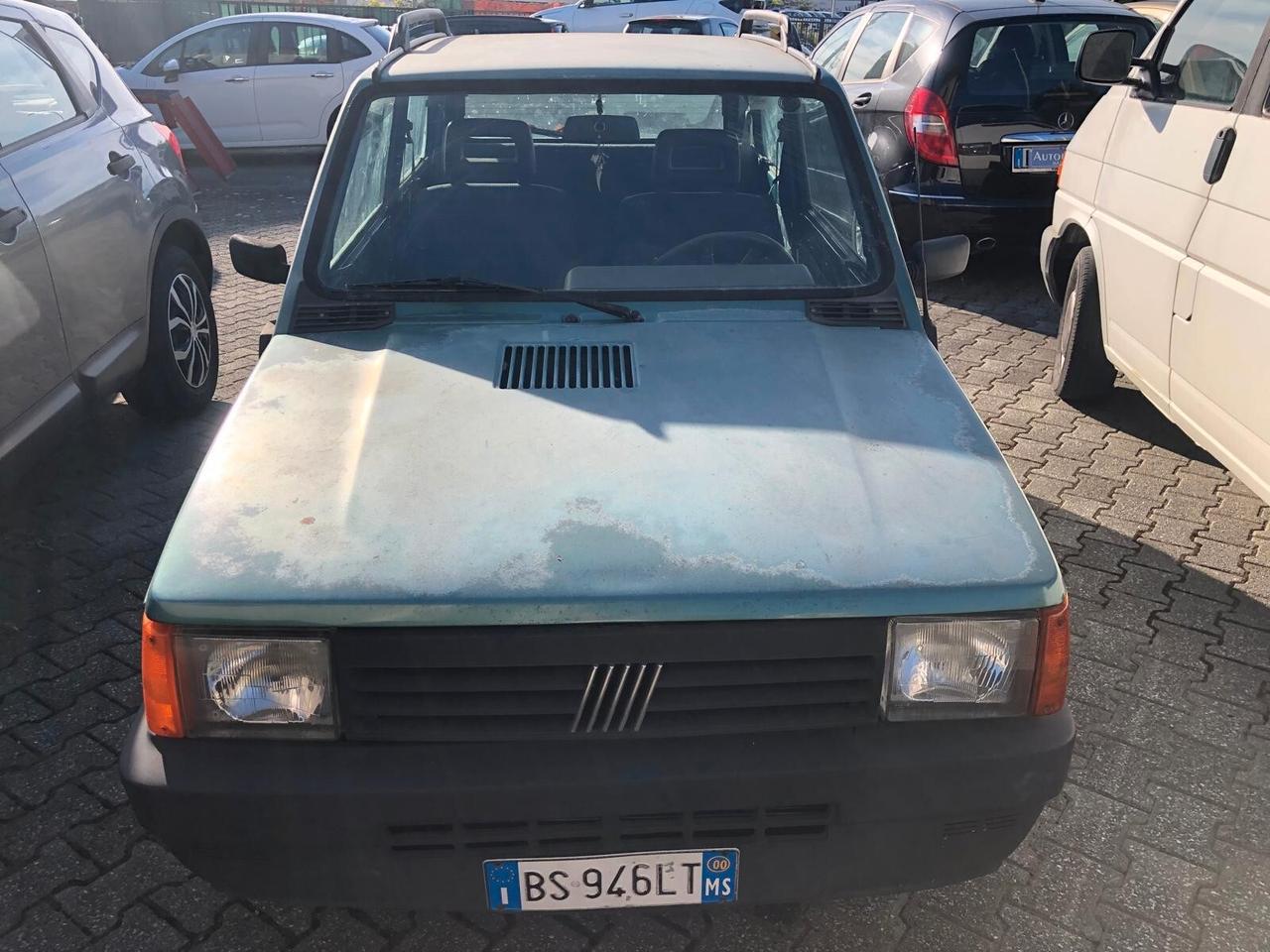 Fiat Panda 900 i.e. cat Young