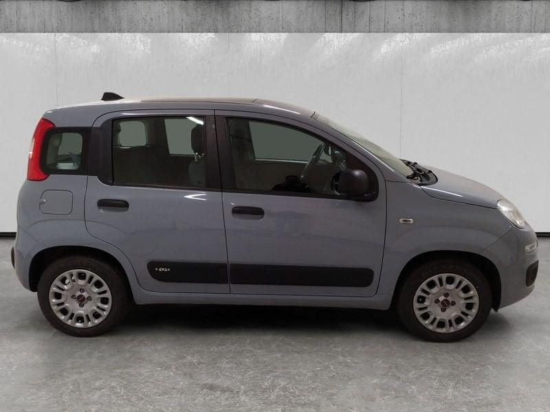 FIAT Panda 1.2 Easy easypower Gpl 69cv my19