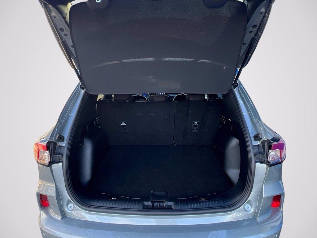 FORD Kuga 1.5 EcoBoost 150 CV 2WD ST-Line del 2023