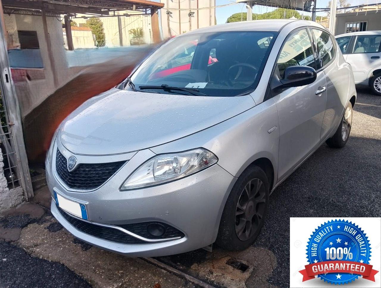 Lancia Ypsilon 1.3 MJT 16V 95 CV 5 porte S&S Platinum