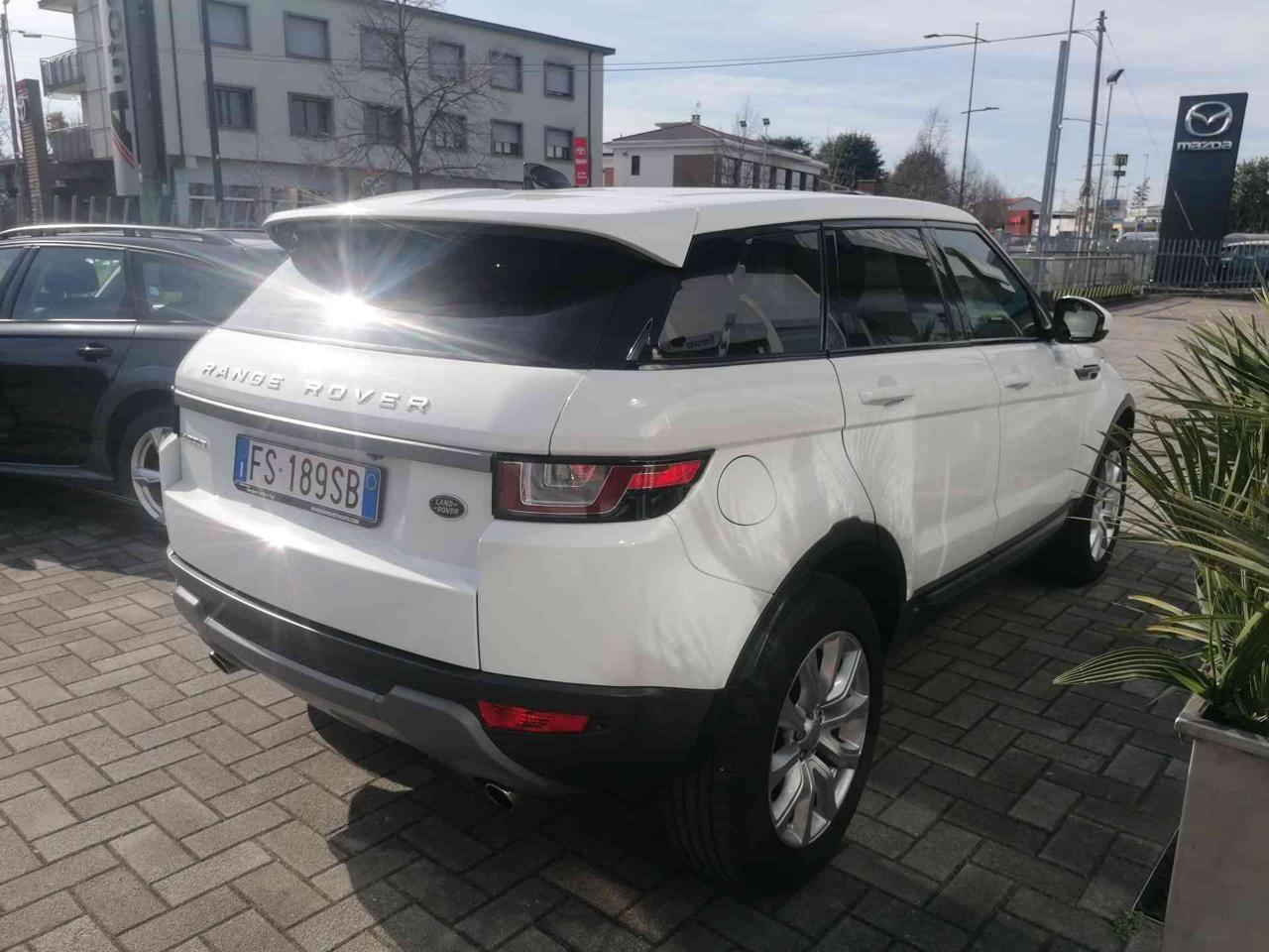 Land Rover Range Rover Evoque 5 Porte Range Rover Evoque 5p 2.0 td4 SE Business edition 150cv auto my19